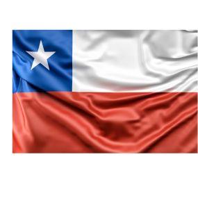 Bandera Chile 3