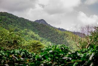 Guatemala
