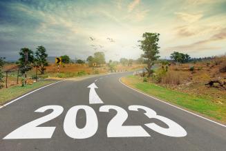 Nuevo año