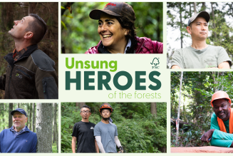 Presentation cover (1).png