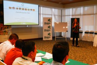 BANPRO Ofrece Créditos Verdes Para Certificación FSC