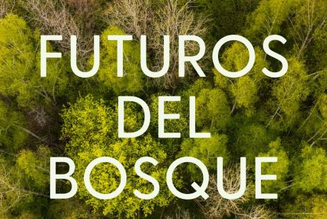 Futuros del Bosque