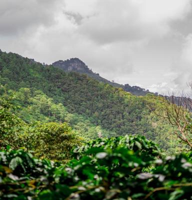 Guatemala