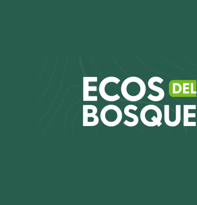 Ecos del Bosque portada