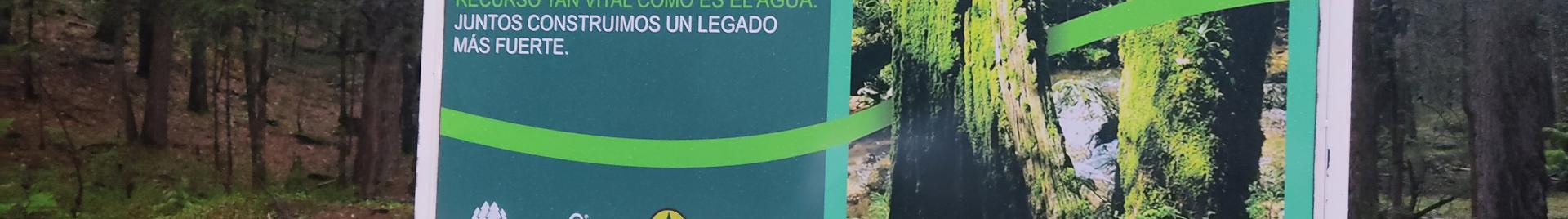 Del Fuerte Noticia